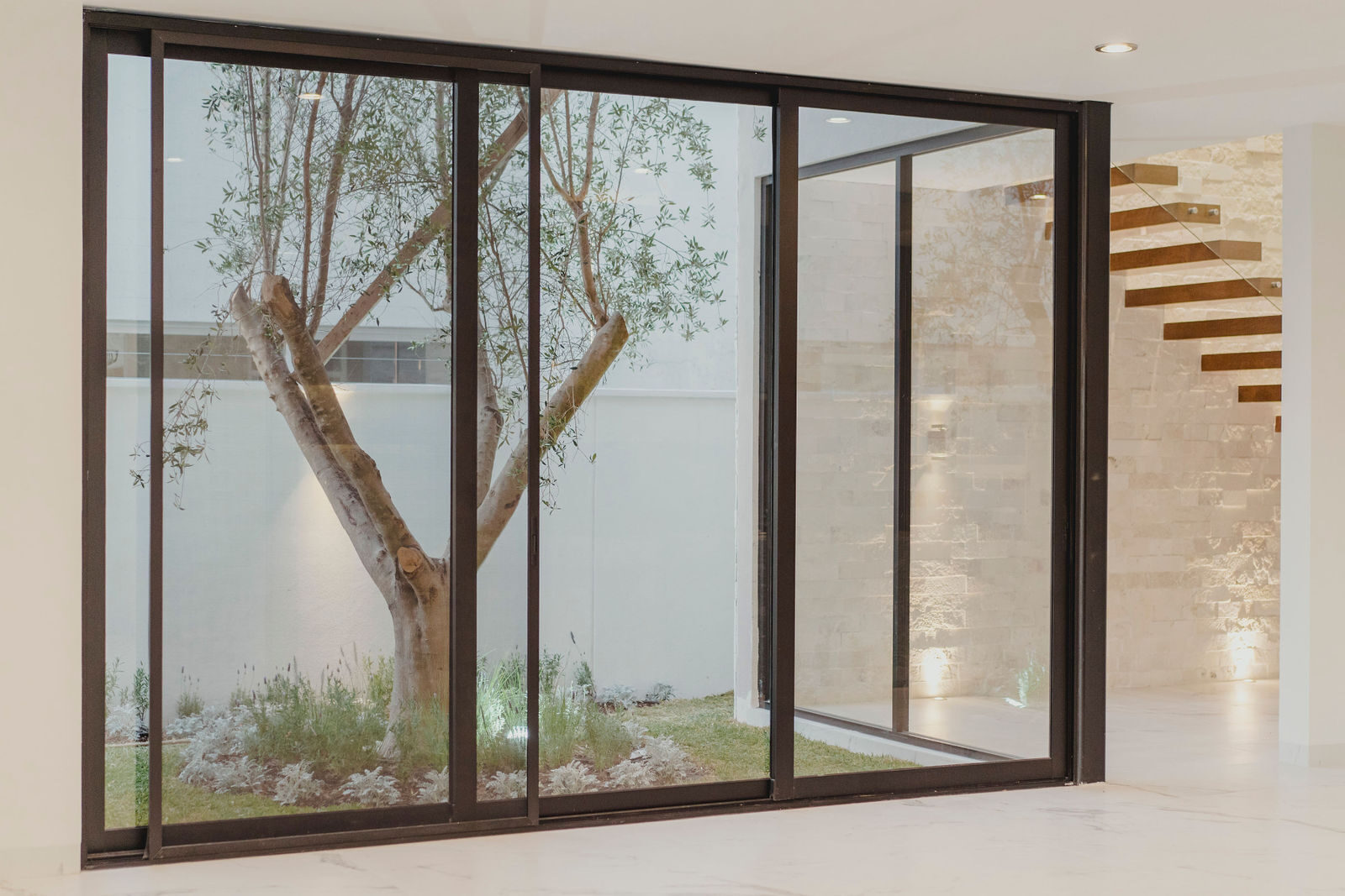 Interior con puertas corredizas de cristal y árbol
